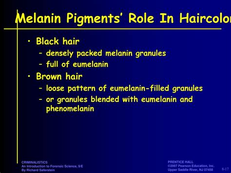 Chapter 8 Hair Ppt Download