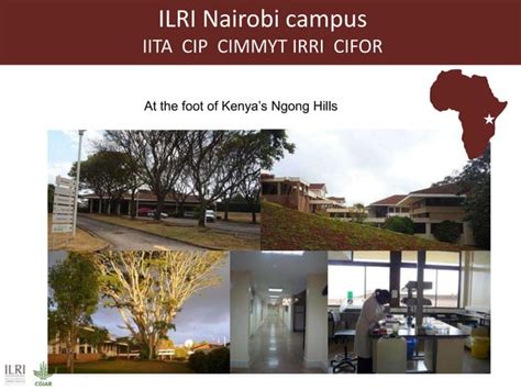 ILRI overview