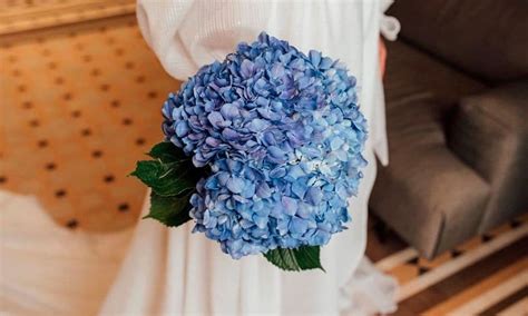 Ramos de novia de hortensias la tendencia e inspiración más bonita