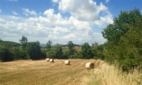 Maremma, Tuscany, Italy - What to see and do in the Maremma