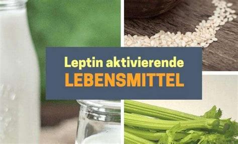 Alte-Hausmittel.com - Hausmittel, Ernährung, Gesundheit & Fitness