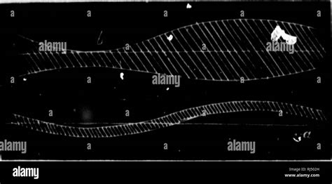 Centre Liquide Black And White Stock Photos Images Alamy