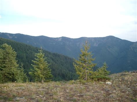 Trout Peak Just Hiking