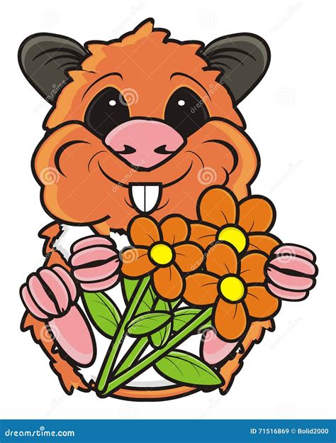 Hamster Holding Flowers Stock Illustration Illustration Of Give 71516869