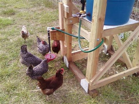 Building An Automatic Chicken Waterer Farm Folly