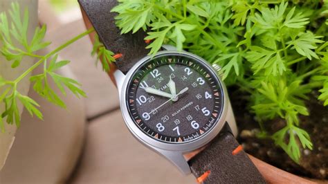 Timex Expedition North Solar Review An Excellent Field Watch Gearjunkie