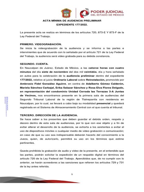 Acta De Audiencia Preliminar Pdf Caso De Ley Ley Procesal