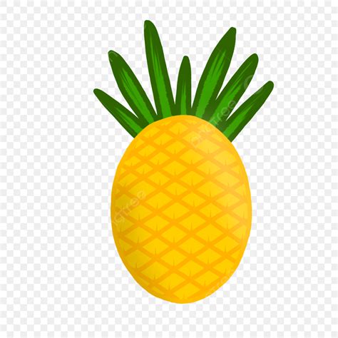 Pineapple Illustration Clipart Hd Png Pineapple Illustration