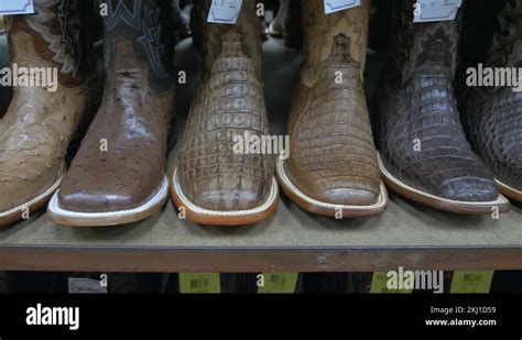 Crocodile Boots Stock Videos Footage Hd And K Video Clips Alamy