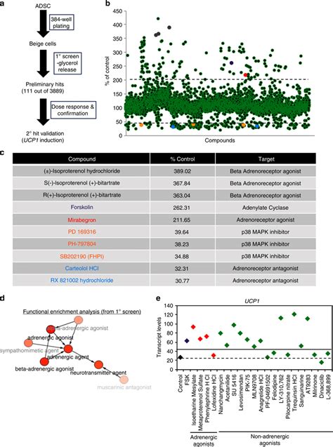 High Throughput Screening For Small Molecule Activators Of Beige