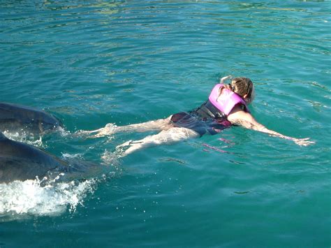 Foot Push Start Dolphin Swim On Blue Lagoon Dolphin World Flickr