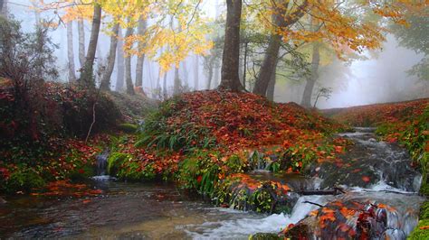 A incrível beleza do Outono no Parque Nacional PNP Gerês