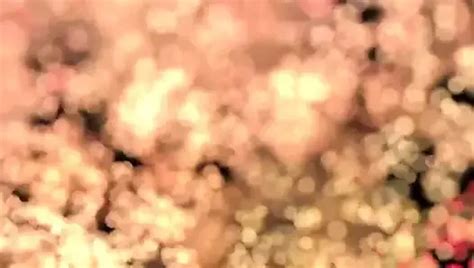 Jonny Cockfill Porn Videos 2024 Porn Star Sex Scenes XHamster