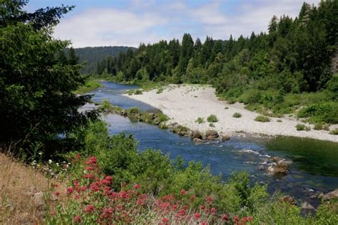 Visiting the Jedediah Smith Redwoods State Park - Erika's Travels