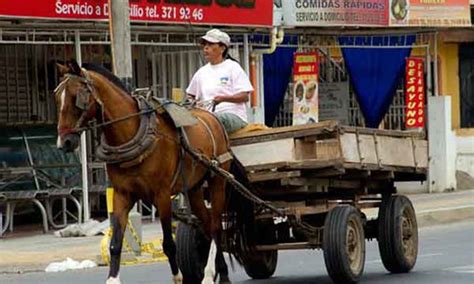 Inicia el proceso de vehículos de transición animal a combustión