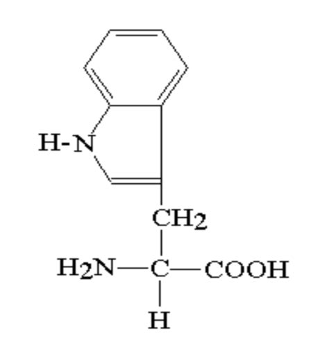 Organic Chem Structure Flashcards Quizlet