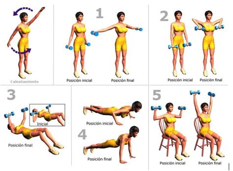 Ejercicios De Hombros ¡guía Paso A Paso 2021