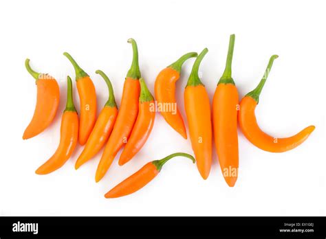 Hot Chili Peppers Isolated On White Background Stock Photo Alamy