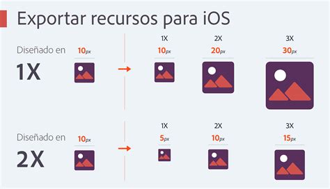 Conozca C Mo Exportar Contenidos Desde Adobe Xd A Los Formatos Png Svg