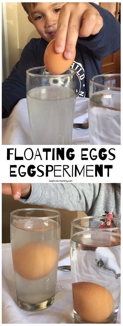 Floating Eggs Experiment Teach Me Mommy