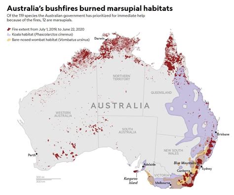 Climate Change And The Australian Bushfires A Visual Guide Earthorg