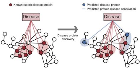 Snap Disease Pathways In The Human Interactome