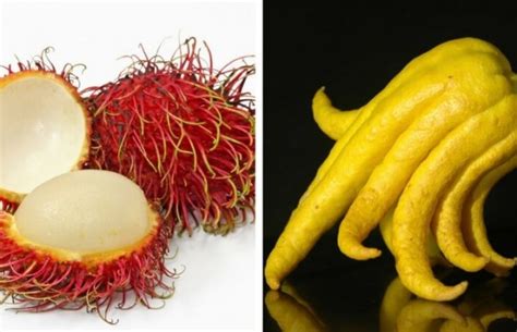 10 Weird Fruits That Are So Wild You Definitely Need To Try