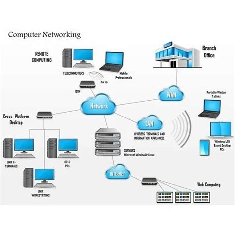 Computer Networking LAN Service Wholesale Trader from South 24 Parganas