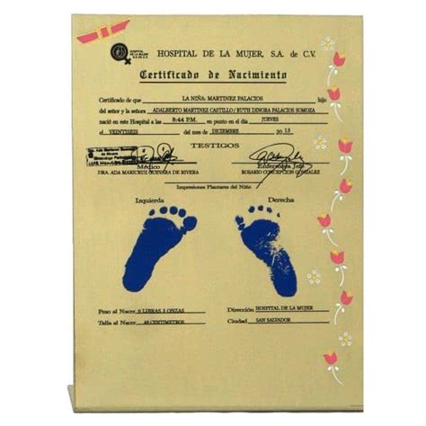 Request Departure Or Birth Certificate In Ecuador