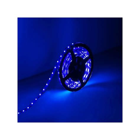 Strip Led Striscia V W Led Bobina Metri Led Colore Blu