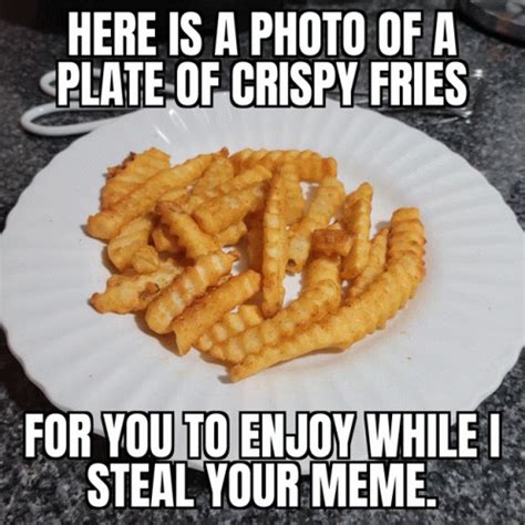 Stole Your Meme Stole Your Meme Discover Share GIFs