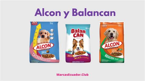 Las mejores marcas de comida para perros en Ecuador una guía para el