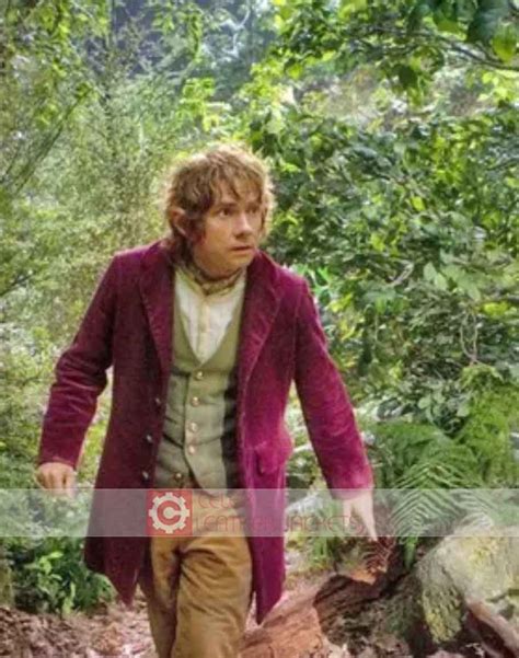 Bilbo Baggins The Hobbit Costume