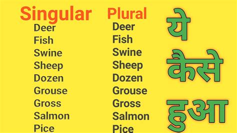 Singular And Plural Number Ekvachan Bahuvachan In Hindi