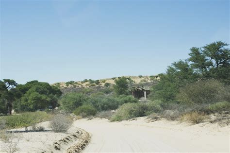 Kgalagadi Transfrontier Park – Catz Tours & Safaris