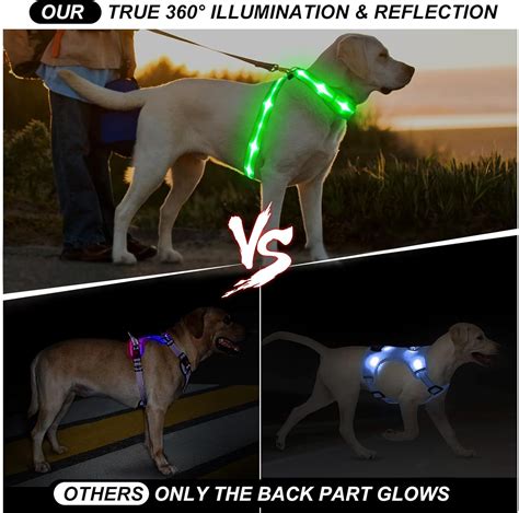 Pzrlit Arn S De Chaleco Para Perro Con Luz Led Recargable Acolchado