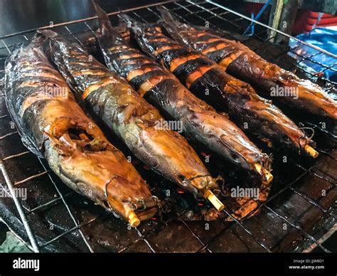 Grilled Catfish Recipes