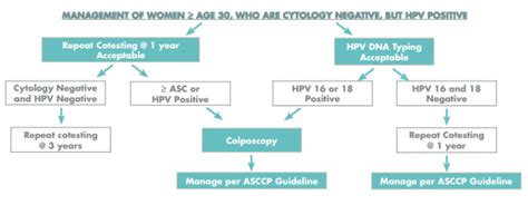 Ask the Pathologist: Negative Pap but Positive HPV? » Incyte Diagnostics