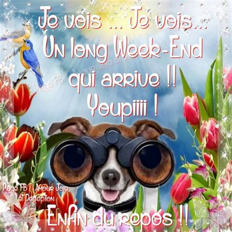 Je Vois Je Vois Un Long Week End Qui Arrive Youpiiii Enfin