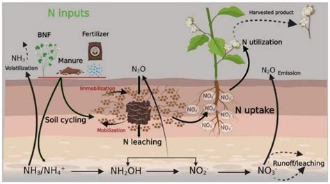 Climate Free Full Text Nanofertilizer Use For Adaptation And