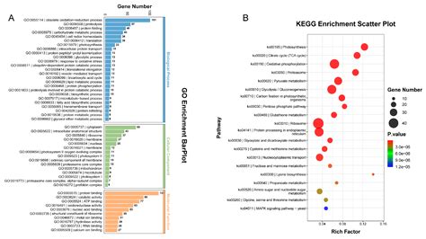 Plants Free Full Text Integrative Transcriptomics And Proteomics