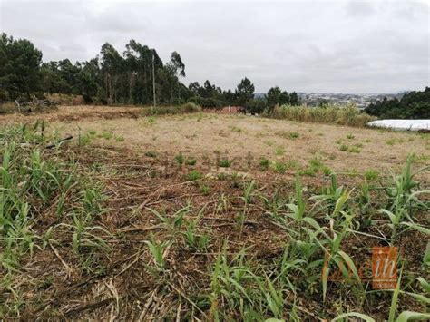 Terreno à venda em Santo Isidoro Mafra idealista