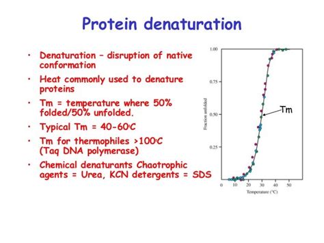 Chapter 4 Part 2 Protein 3 D Structure 3ed And 4th Structure An