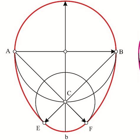 Schemes ovoids: a) Moss ovoid; b) Antonio Castilla ovoid (Cuarado ...