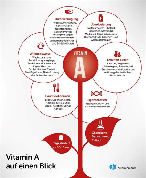 Infografiken Zu Allen Vitaminen Vitamine