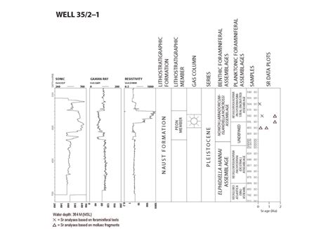 Well Summary Figure Including Sonic Gamma Ray And Resistivity Logs