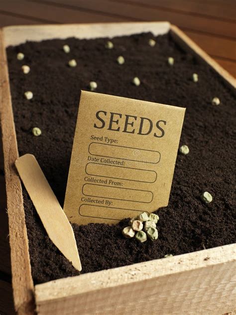 Garden Seed Bag With Seeds Stock Image Image Of Space 44953875