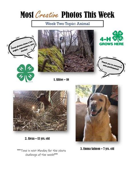 Cornell Cooperative Extension 4 H Photography Contest