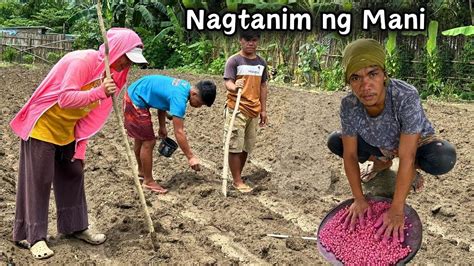 Pagtatanim Ng Mani Sa Farm Dumating Si Micheal Buhay Probinsya Youtube