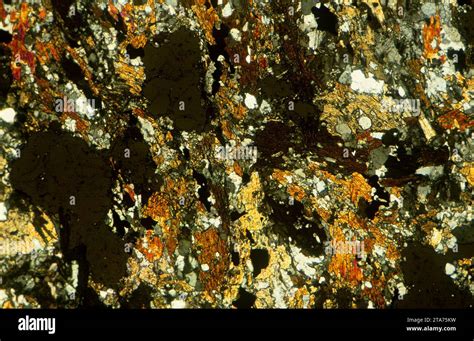 Amphibolite With Garnet Amphibolite Is A Metamorphic Rock Rich In